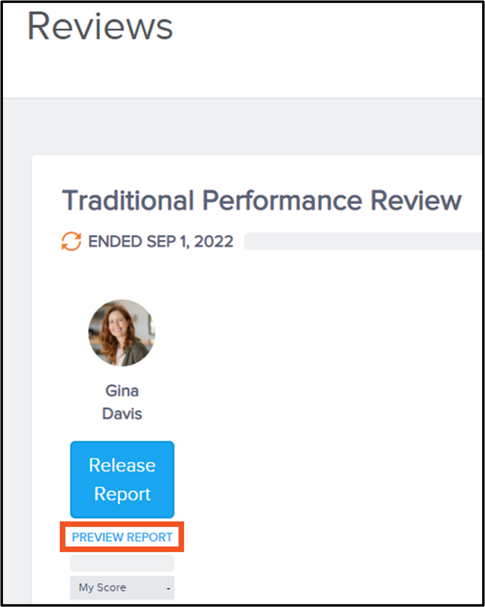 PERF_Preview_report.jfif