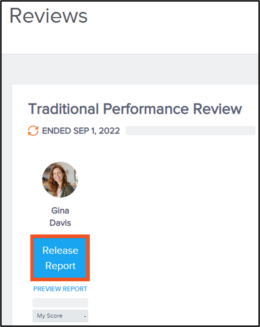 PERF_Release_report.jfif